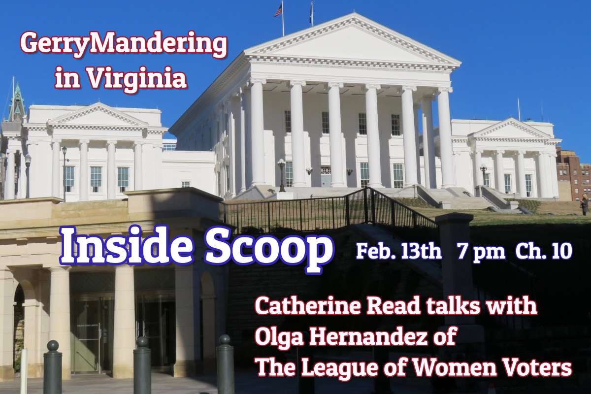 Inside Olga Virginia's Fight for Non-Partisan Redistricting - Inside Scoop - Read ...